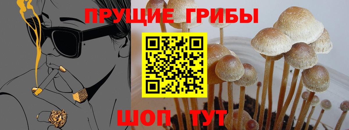 Галлюциногенные грибы прущие грибы  Вход с VPN  Мирный  Псилоцибиновые грибы Magic Shrooms 